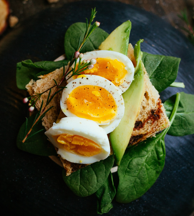 egg